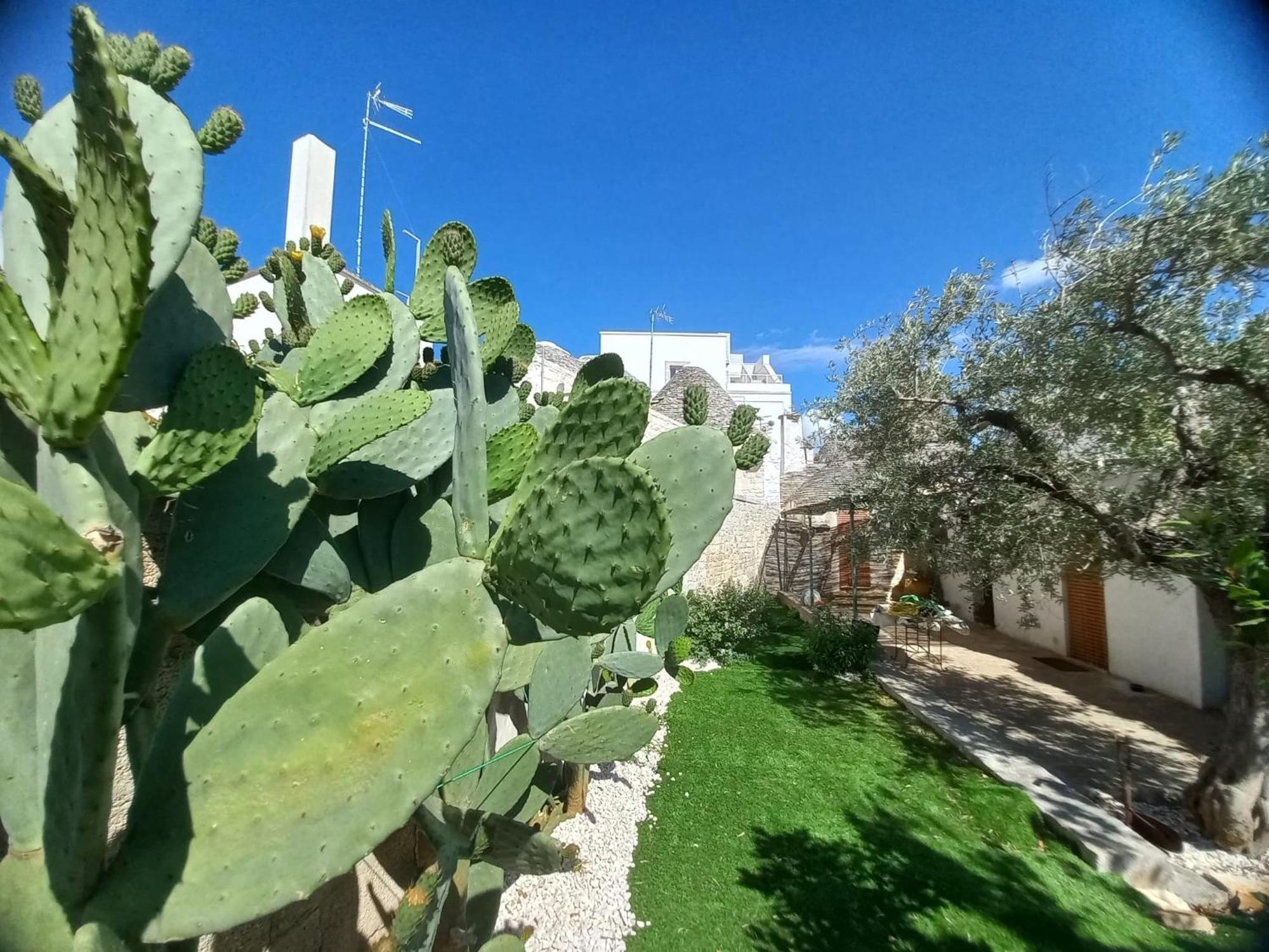Trullo Vacanza アルベロベッロ 部屋 写真